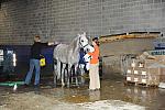 WIHS-10-24-09-DSC_9001-AroundGroundsInside-DDeRosaPhoto.jpg
