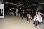 WIHS-10-24-09-DSC_9008-AroundGroundsInside-DDeRosaPhoto.jpg