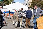 WIHS-10-25-09-DSC_2671-AroundGrounds-Outdoors-DDeRosaPhoto.jpg