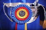 WIHS-10-24-09-DER_8174-Awards-DDeRosaPhoto.jpg