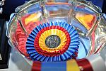 WIHS-10-24-09-DSC_9035-Awards-DDeRosaPhoto.jpg