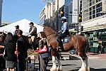 WIHS-10-21-09-DSC_2101-BreakfastwithParkPolice-DDeRosaPhoto.jpg