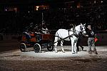 WIHS-10-24-09-DER_8672-Caisson-DDeRosaPhoto.jpg