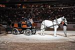 WIHS-10-24-09-DER_8678-Caisson-DDeRosaPhoto.jpg
