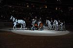 WIHS-10-24-09-DER_8690-Caisson-DDeRosaPhoto.jpg