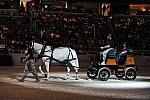 WIHS-10-24-09-DSC_0443-Caisson-DDeRosaPhoto.jpg