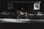 WIHS-10-22-09-DSC_6734-AshleyHolzer-PopArt-Dressage-DDeRosaPhoto.jpg