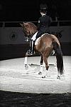 WIHS-10-22-09-DSC_6856-AshleyHolzer-PopArt-Dressage-DDeRosaPhoto.jpg