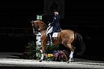 WIHS-10-23-09-DER_7356-AshleyHolzer-PopArt-Dressage-DDeRosaPhoto.jpg