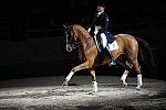 WIHS-10-23-09-DER_7447-AshleyHolzer-PopArt-Dressage-DDeRosaPhoto.jpg