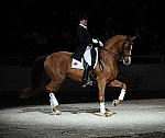 WIHS-10-24-09-DSC_0670-AshleyHolzer-PopArt-Dressage-DDeRosaPhoto.jpg