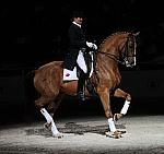 WIHS-10-24-09-DSC_0740-AshleyHolzer-PopArt-Dressage-DDeRosaPhoto.jpg