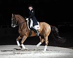 WIHS-10-25-09-DSC_3774-AshleyHolzer-PopArt-Dressage-DDeRosaPhoto.jpg