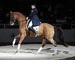 WIHS-10-25-09-DSC_3776-AshleyHolzer-PopArt-Dressage-DDeRosaPhoto.jpg
