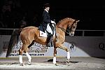 WIHS-10-25-09-DSC_3794-AshleyHolzer-PopArt-Dressage-DDeRosaPhoto.jpg