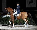 WIHS-10-25-09-DSC_3818-AshleyHolzer-PopArt-Dressage-DDeRosaPhoto.jpg