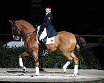 WIHS-10-25-09-DSC_3822-AshleyHolzer-PopArt-Dressage-DDeRosaPhoto.jpg