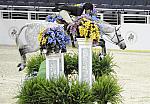 WIHS-10-21-09-DSC_1320-Hunters-Bolero-SandyFerrell-DDeRosaPhoto.jpg