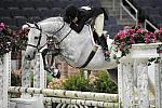 WIHS-10-21-09-DSC_2776-Bolero-StacyArani-Hunters-DDeRosaPhoto.jpg