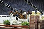 WIHS-10-23-09-DSC_7453-Bentley-BrouganBrown-Hunters-DDeRosaPhoto.jpg