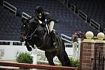 WIHS-10-23-09-DSC_7506-Peregrine-AdeleNorton-Hunters-DDeRosaPhoto.jpg