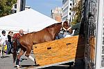 WIHS-10-25-09-DSC_2619-DDeRosaPhoto.jpg