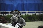 WIHS-10-23-09-DER_7221-Mascot-DDeRosaPhoto.jpg