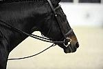 WIHS-10-22-09-DSC_4056-Capone-MadelineThatcher-SmJrHtr15U-Misc-DDeRosaPhoto.jpg
