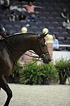 WIHS-10-22-09-DSC_4117-Ovation-VictoriaColvin-SmJrHtr15U-Misc-DDeRosaPhoto.jpg