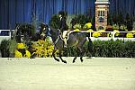 WIHS-10-24-09-Cl185WIHSPnyEqFinals-DER_8353-Tango-MadelynKeck-AllTheBest-VictoriaColvin-Ponies-DDeRosaPhoto.jpg
