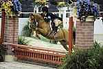 WIHS-10-25-09-DSC_2056-AllAboutMe-KellyArani-Ponies-DDeRosaPhoto.jpg