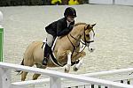 WIHS-10-25-09-MedPny-DSC_1808-BenleaAristocrat-ChloeReid-Ponies-DDeRosaPhoto.jpg