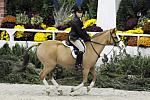 WIHS-10-25-09-MedPnyStke-DSC_2113-BenleaAristocrat-ChloeReid-Ponies-DDeRosaPhoto.jpg