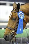 WIHS-10-22-09-DSC_4427-Genuine-LillieKeenan-SmJrHtr15U-Presentations-DDeRosaPhoto.jpg