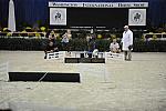 WIHS-10-22-09-DSC_6705-Terriers-DDeRosaPhoto.jpg