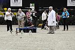 WIHS-10-23-09-DER_7251-Terriers-DDeRosaPhoto.jpg