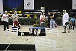 WIHS-10-23-09-DER_7272-Terriers-DDeRosaPhoto.jpg