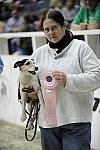 WIHS-10-25-09-DSC_3425-Terriers-DDeRosaPhoto.jpg