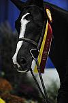 WIHS-10-23-09-DSC_8445-SmJrHtr16-17-Res-Mirasol-KelseyThatcher-Winners-DDeRosaPhoto.jpg