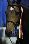 WIHS-10-23-09-DSC_8494-LgJrWkgHtrResCh-Charade-JacquelineLubrano-Winners-DDeRosaPhoto.jpg