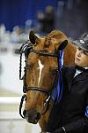 WIHS-10-24-09-DER_8164-AllTheBest-VictoriaColvin-Winners-DDeRosaPhoto.jpg