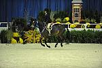 WIHS-10-24-09-DER_8353-Tango-MadelynKeck-Winners-DDeRosaPhoto.jpg