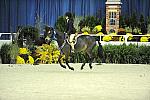 WIHS-10-24-09-DER_8353-Tango-MadelynKeck-Winners-DDeRosaPhoto.jpg