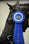 WIHS-10-25-09-DSC_1611-DDeRosaPhoto.jpg