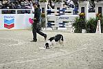 WIHS-10-23-09-DER_7595-ZakGeorge-DDeRosaPhoto.jpg