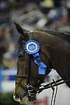 WIHS-10-23-09-DER_7750-Vancouver-McLainWard-Puissance-DDeRosaPhoto.jpg