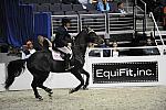 WIHS-10-24-10-PresCup-DSC_1338-Alaska-ToddMinikus-DDeRosaPhoto.jpg