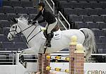 WIHS-10-22-09-DSC_5500-Crop-ChironS-PaigeJohnson-AOJpr-DDeRosaPhoto.jpg