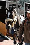 WIHS-10-19-09-371-DDeRosaPhoto.jpg