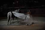 DSC_6581-DDeRosaPhoto.JPG